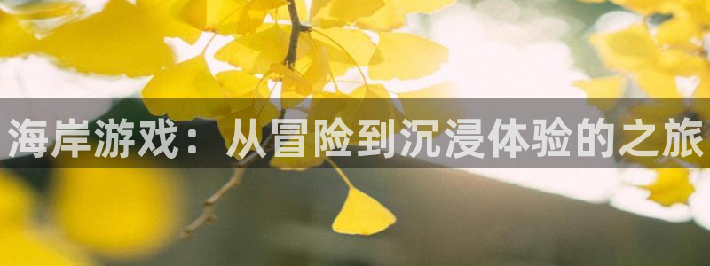 辉达娱乐线路测试：海岸游戏：从冒险到沉浸体验的之旅