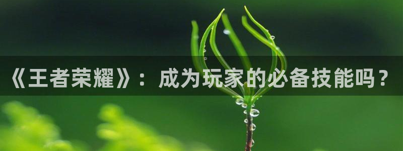 辉达娱乐注册平台：《王者荣耀》：成为玩家的必备技能吗？