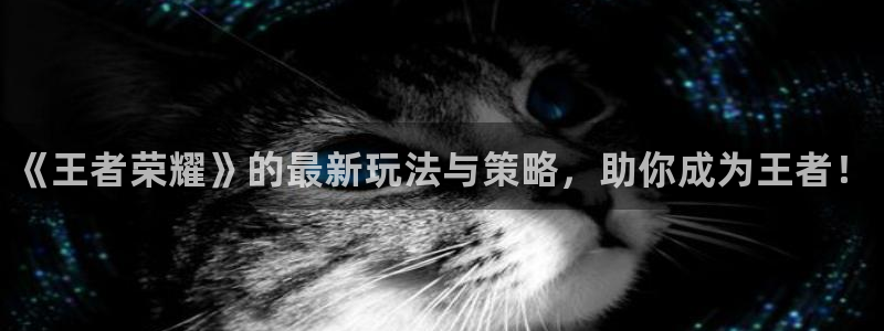 辉达娱乐官网：《王者荣耀》的最新玩法与策略，助你成为王者！