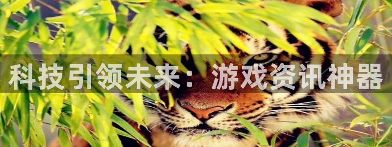 辉达娱乐网页版地址：科技引领未来：游戏资讯神器