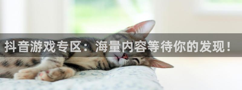 辉达娱乐官网登录：抖音游戏专区：海量内容等待你的发现！