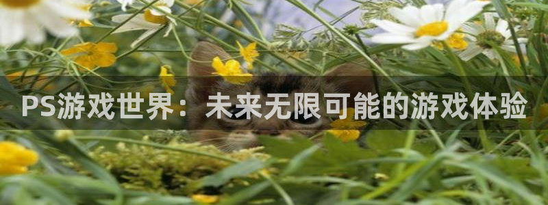 辉达娱乐平台登录：PS游戏世界：未来无限可能的游戏体验